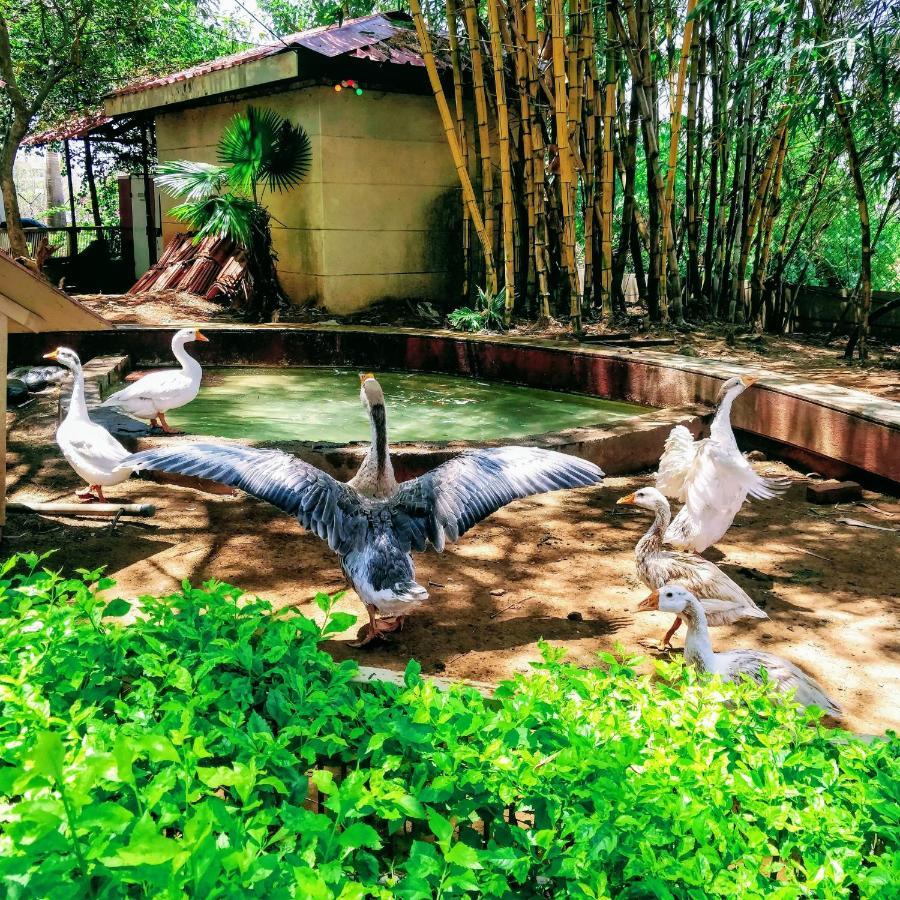Dew Drops Boutique Retreat Hotel Igatpuri Ngoại thất bức ảnh